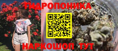крисы Апрелевка