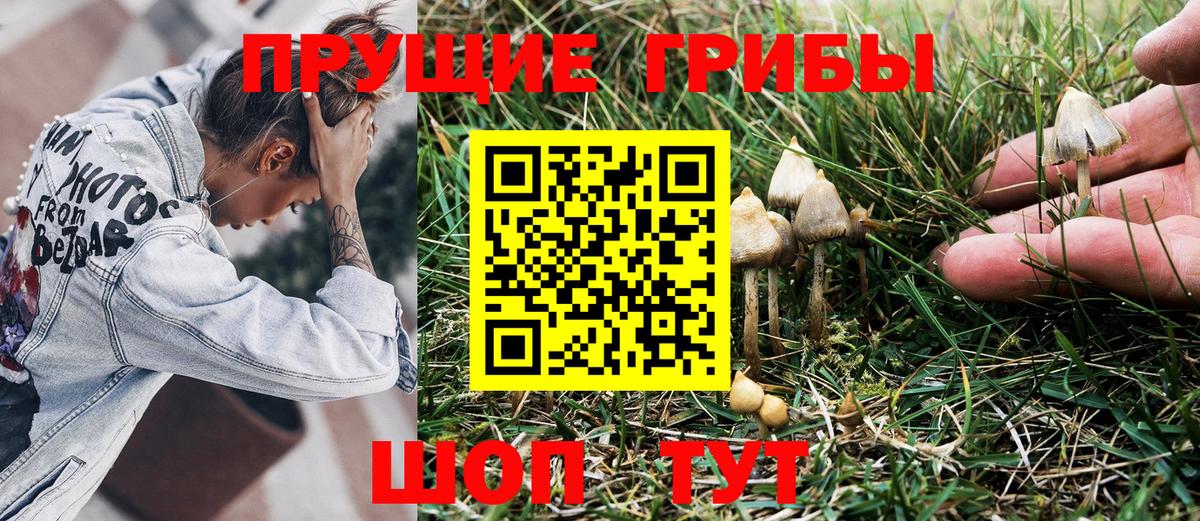 наркота  Вход с VPN  Псилоцибиновые грибы мухоморы  Владивосток  Галлюциногенные грибы прущие грибы 