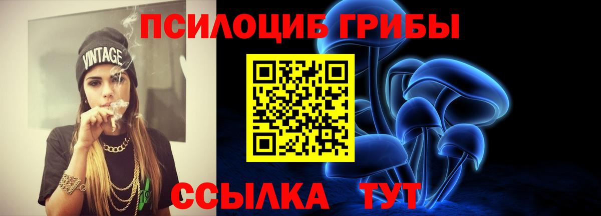 Галлюциногенные грибы Magic Shrooms Владивосток